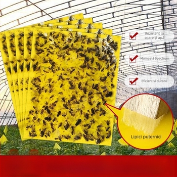 Plăcuță lipicioasă pentru insecte pentru muște de fructe și țânțari – dublu-adezivă, netoxică, durată de viață 5 ani, 1000 foi