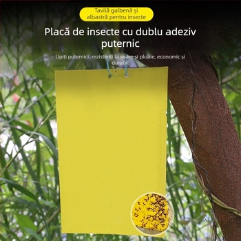 Plăcuță lipicioasă pentru insecte pentru muște de fructe și țânțari – dublu-adezivă, netoxică, durată de viață 5 ani, 1000 foi