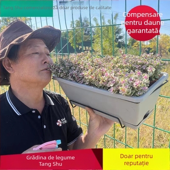 Ghiveci dreptunghiular din rășină, turnat prin injecție, rezistent la coroziune și durabil, potrivit pentru montare pe perete, birou sau podea, stil pastoral