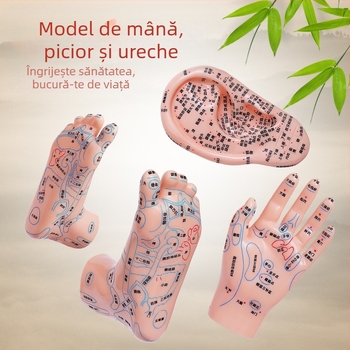 Model de puncte de acupunctură pentru mâini, picioare și urechi cu meridiane – diagramă de reflexologie pentru învățare, din plastic, pachet de 100 bucăți