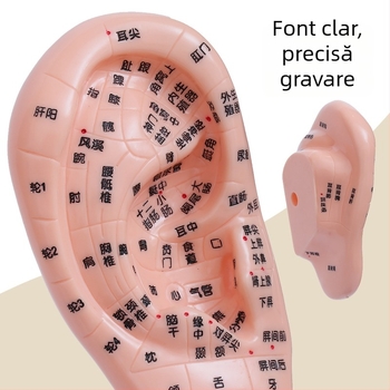 Model de puncte de acupunctură pentru mâini, picioare și urechi cu meridiane – diagramă de reflexologie pentru învățare, din plastic, pachet de 100 bucăți