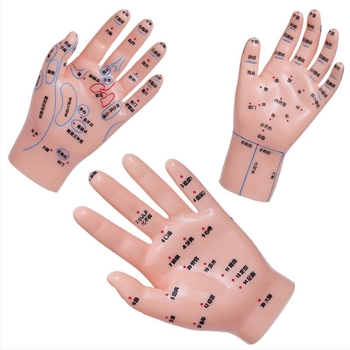 Model de puncte de acupunctură pentru mâini, picioare și urechi cu meridiane – diagramă de reflexologie pentru învățare, din plastic, pachet de 100 bucăți