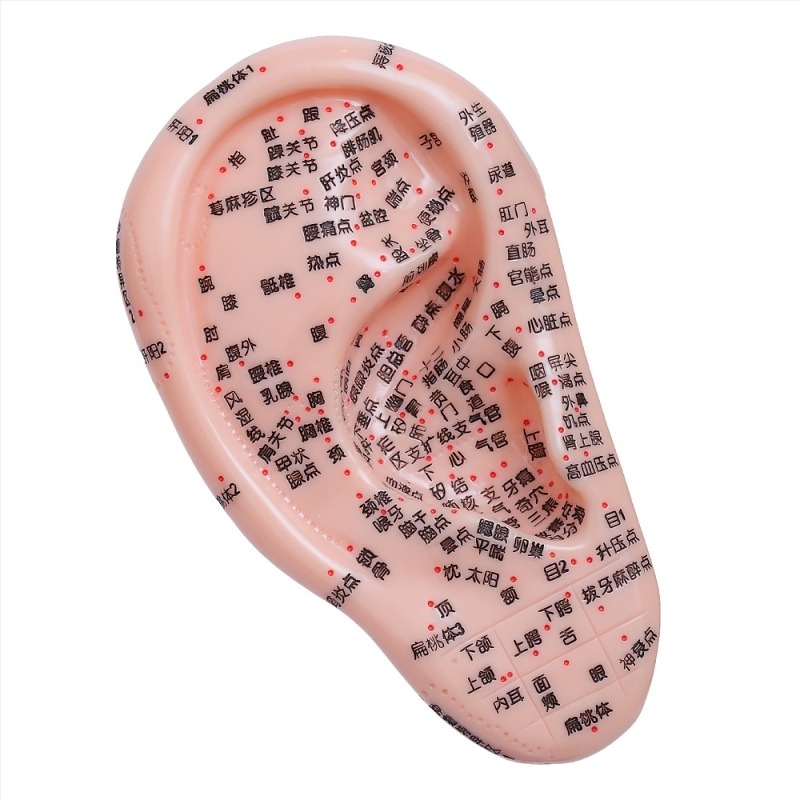 Model de puncte de acupunctură pentru mâini, picioare și urechi cu meridiane – diagramă de reflexologie pentru învățare, din plastic, pachet de 100 bucăți