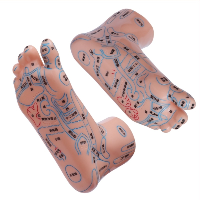 Model de puncte de acupunctură pentru mâini, picioare și urechi cu meridiane – diagramă de reflexologie pentru învățare, din plastic, pachet de 100 bucăți