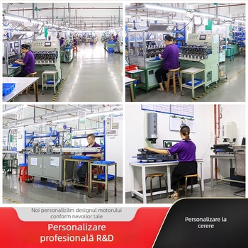 Motor cu perii, micro motor (Marcă: XINLIMOTOR/motor; Tensiune: DC <36V; Certificare: ISO9001)