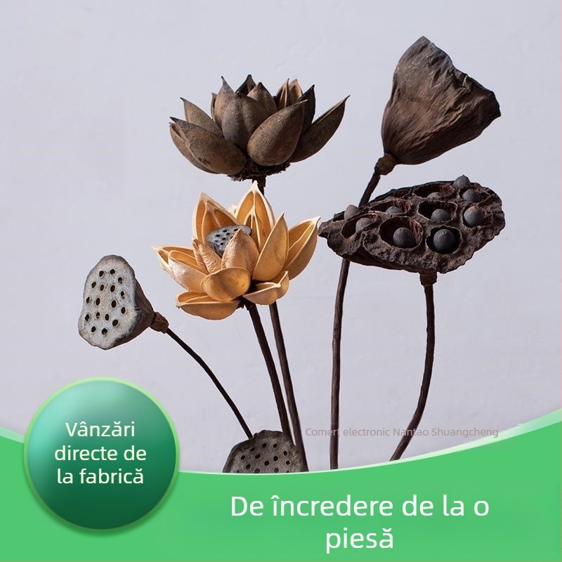 Buchet Zen de flori uscate pentru sufragerie – elemente mixte cu lotus, capsule de lotus și conuri de pin (Variety: Lily; Material: Other; Craft: Other; Gift: No)