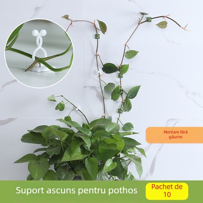 Clemă de fixare a plantelor din PP pentru viță de vie cățărătoare pe perete – Suport pentru plante de interior fără urme, dimensiuni mici/medii/mari