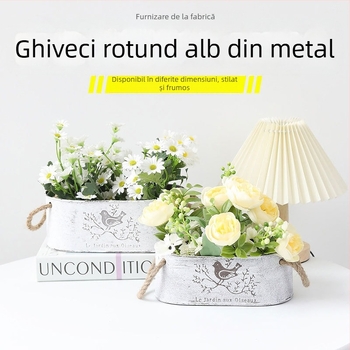 Ghiveci metalic cu model de pasăre, depozitare cu sfoară de cânepă în stil vintage, pentru suculente și plante verzi, stil pastoral