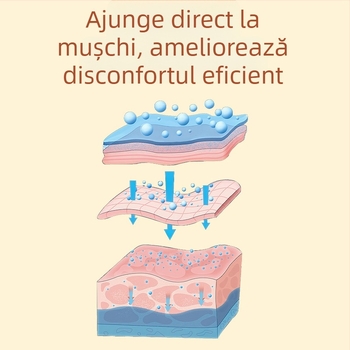 Plasture Mugwort pentru zona lombară – plasture de moxibustion pentru masaj de sănătate, model: Mugwort lumbar patch, marcă: Hong Kong Pharmacy