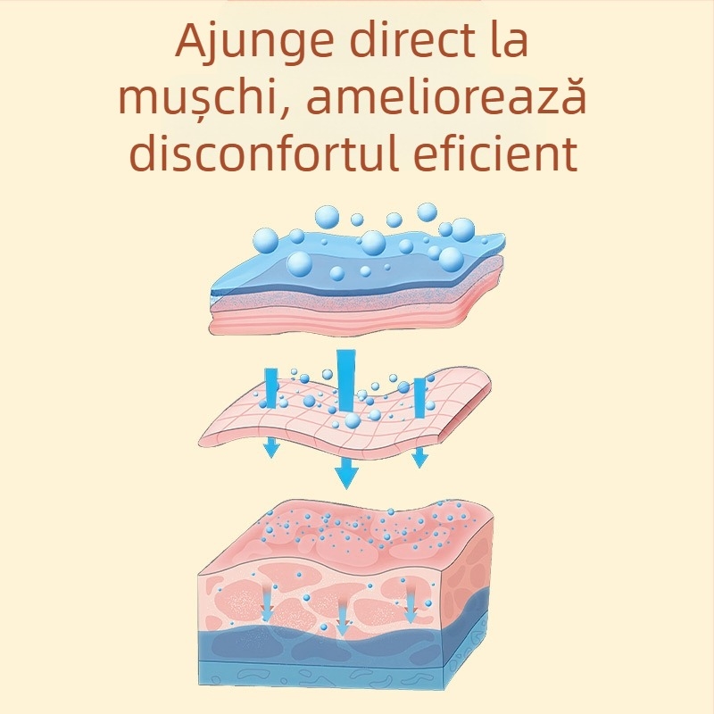 Plasture Mugwort pentru zona lombară – plasture de moxibustion pentru masaj de sănătate, model: Mugwort lumbar patch, marcă: Hong Kong Pharmacy