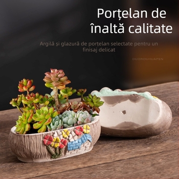 Ghiveci ceramic pentru suculente, oval, diametru mare, respirabil, pentru birou și casă