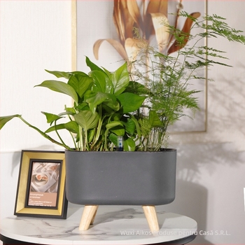 Ghiveci din plastic, auto-udare, economie de apă, rezistent la coroziune, respirabil; montaj pe perete sau podea, stil nordic