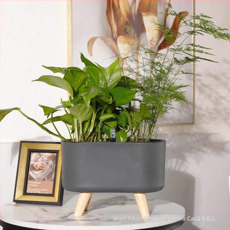 Ghiveci din plastic, auto-udare, economie de apă, rezistent la coroziune, respirabil; montaj pe perete sau podea, stil nordic