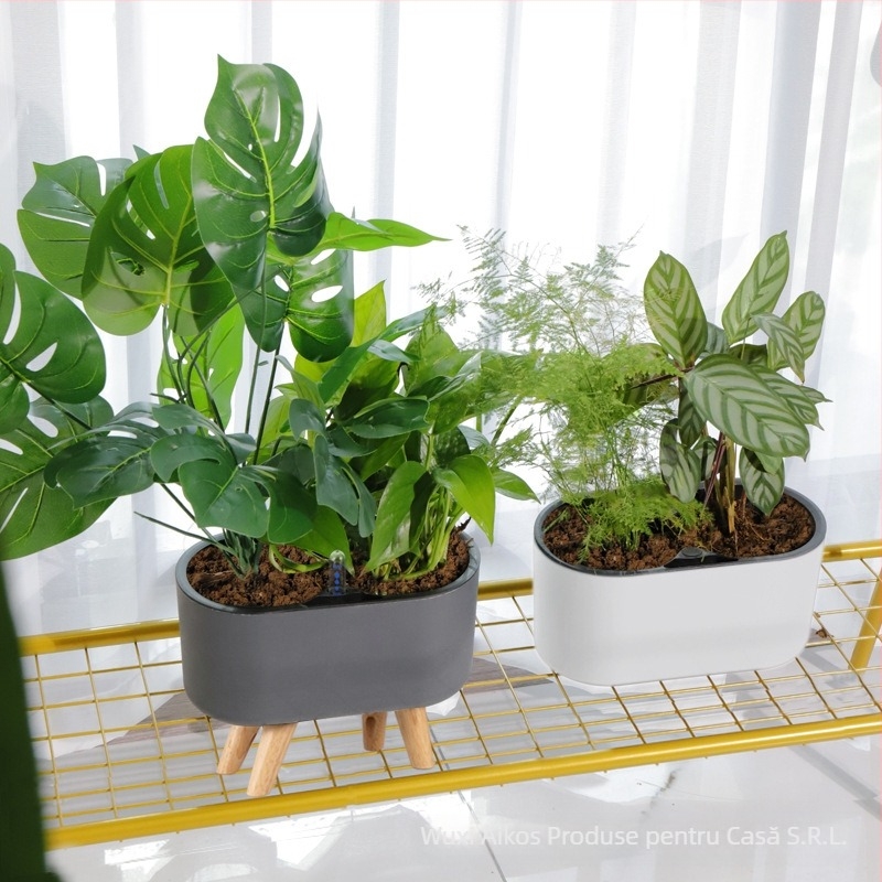 Ghiveci din plastic, auto-udare, economie de apă, rezistent la coroziune, respirabil; montaj pe perete sau podea, stil nordic