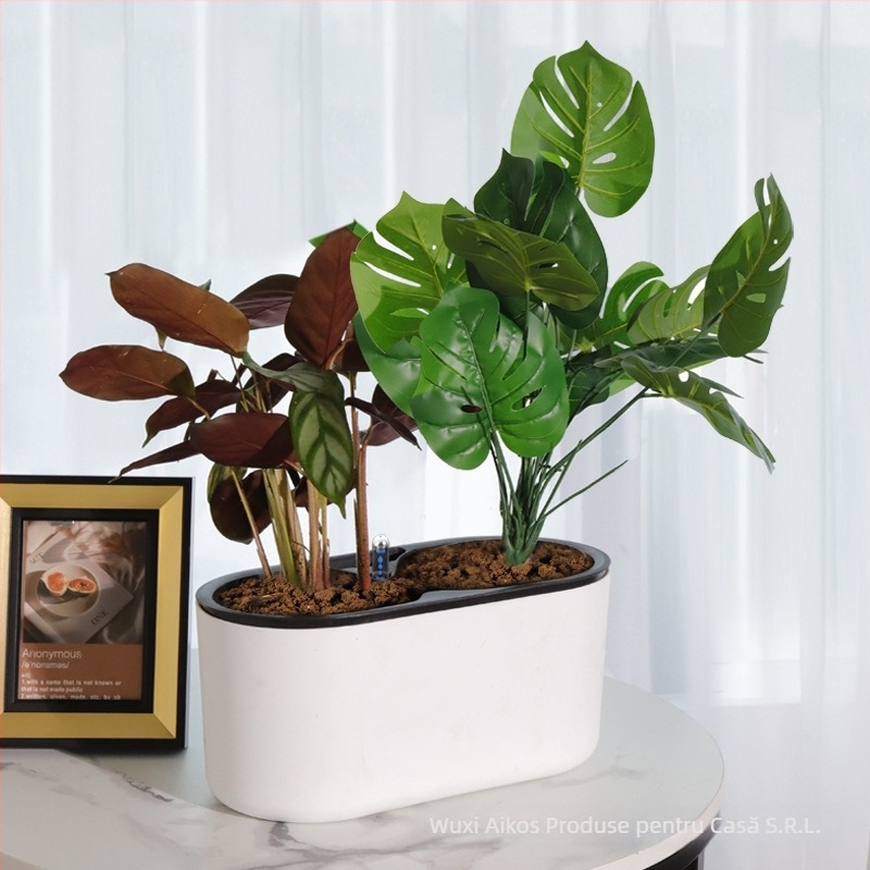 Ghiveci din plastic, auto-udare, economie de apă, rezistent la coroziune, respirabil; montaj pe perete sau podea, stil nordic