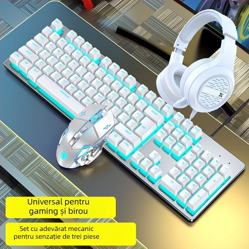 Forerunner GX300 set tastatură și mouse pentru gaming, cablu USB, 1600dpi optic, iluminare, ergonomic