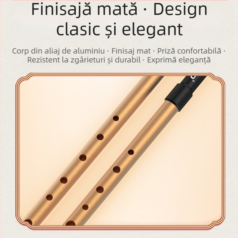 Fluier irlandez DBAO, ton C/D, șase găuri, pentru elevi