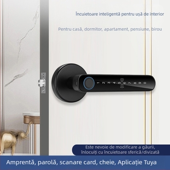 SS-DZL cu amprentă, parolă și cheie; stocare amprente 100, peste 100000 cicluri de deblocare, scanare <0.5 s, alimentare DC, interval de operare -10°C până la 60°C