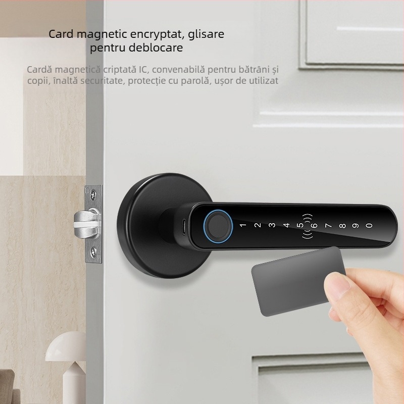 SS-DZL cu amprentă, parolă și cheie; stocare amprente 100, peste 100000 cicluri de deblocare, scanare <0.5 s, alimentare DC, interval de operare -10°C până la 60°C