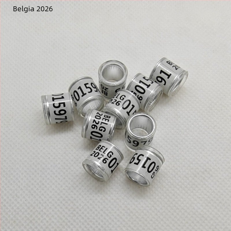 Inel pentru picioarele porumbeilor de curse, Inele de marcare, Număr de articol tfgsdj#j#lznyhfgj#sdhh