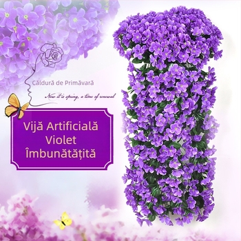 Viță cu flori de mătase (varietate Violet; utilizare: Alte; decor pentru perete - artă florală suspendată)