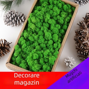 Plantă de mușchi imitativ – lucrată manual, fabricație biomimică, decor de perete pentru amenajări peisagistice, ambalaj din carton