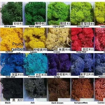 Plantă de mușchi imitativ – lucrată manual, fabricație biomimică, decor de perete pentru amenajări peisagistice, ambalaj din carton