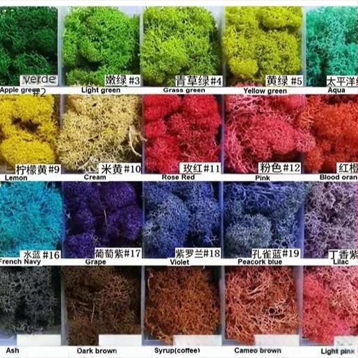 Plantă de mușchi imitativ – lucrată manual, fabricație biomimică, decor de perete pentru amenajări peisagistice, ambalaj din carton