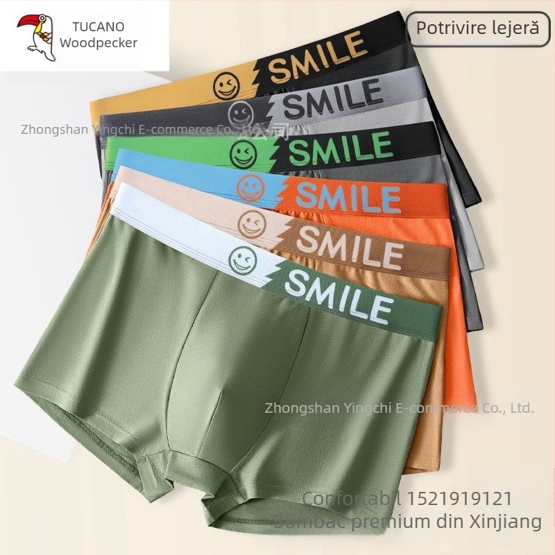 Boxeri pentru bărbați – antibacterieni, respirabili, sport; material: 95–100% bumbac; căptușeală zonă inghinală 95–100% viscoză; model: bloc de litere/text; talie medie