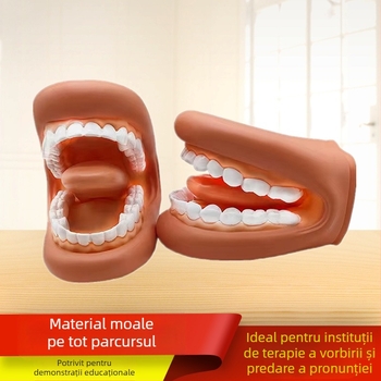 Model de învățare dentară pentru cavitatea bucală – instrument de educație dentară pentru copii, demonstrație de periere a dinților (Nr. produs 1001188344; Categorie: Other; Funcție: Other; Material: Other)