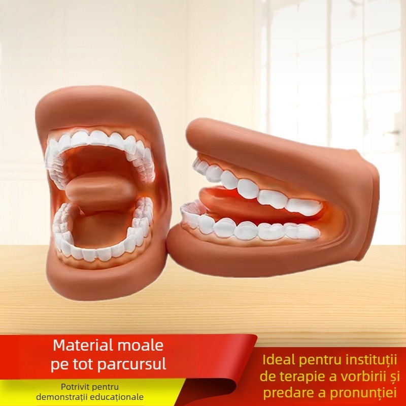 Model de învățare dentară pentru cavitatea bucală – instrument de educație dentară pentru copii, demonstrație de periere a dinților (Nr. produs 1001188344; Categorie: Other; Funcție: Other; Material: Other)