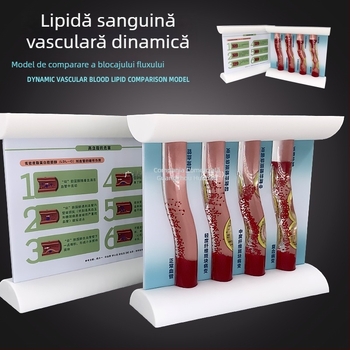 Model vascular dinamic – blocaj de densitate ridicată și tromb de placă – model educațional din plastic