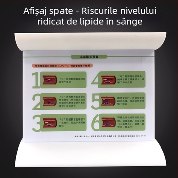 Model vascular dinamic – blocaj de densitate ridicată și tromb de placă – model educațional din plastic