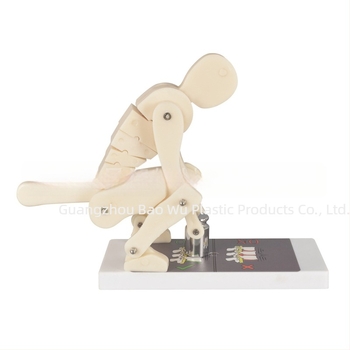 Model din plastic pentru demonstrarea încărcării coloanei vertebrale, cu bază, pentru instruire medicală