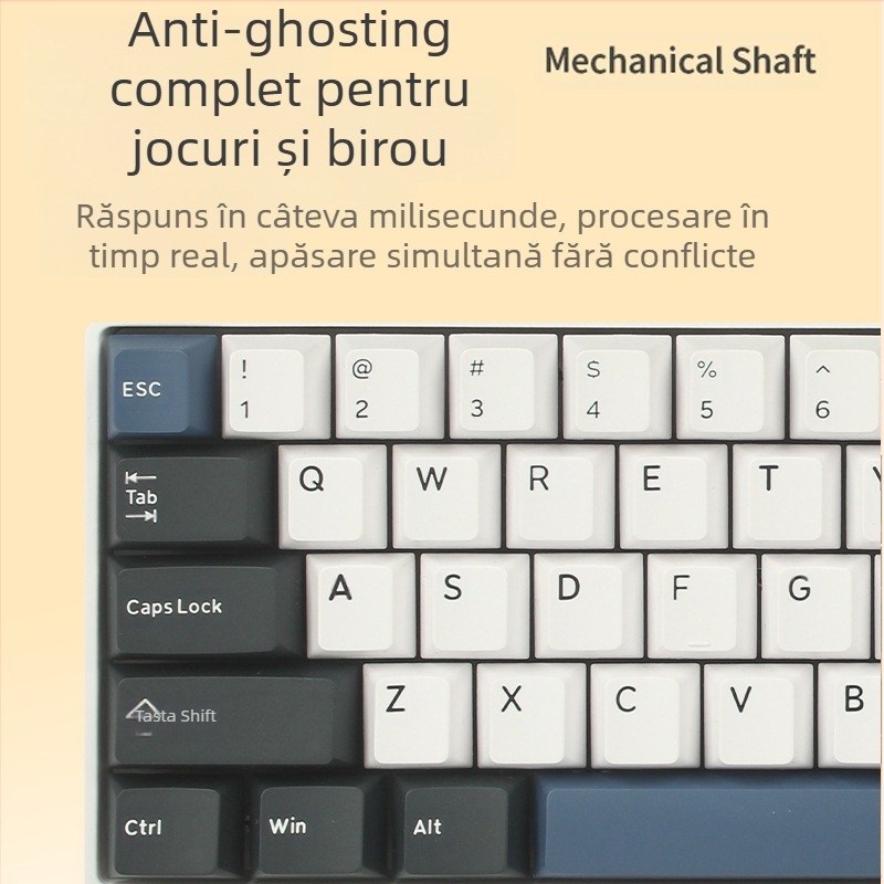 Tastatură mecanică, 99 taste, USB-C, Bluetooth 2.4G, RGB iluminare, design cu aripi duale