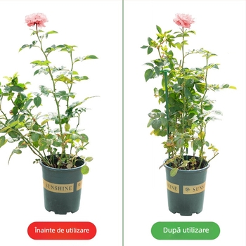 Suport de flori din fier cu braț unic pentru grădina exterioară, potrivit pentru trandafiri cățărători și hortensii