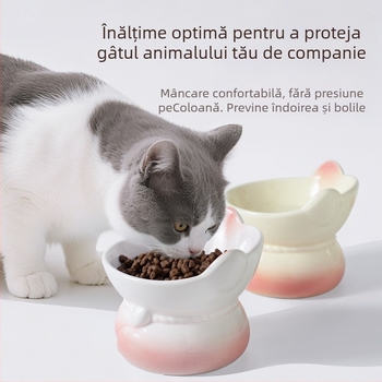 Vas ceramic pentru pisici cu gradient pentru hrănire și apă
