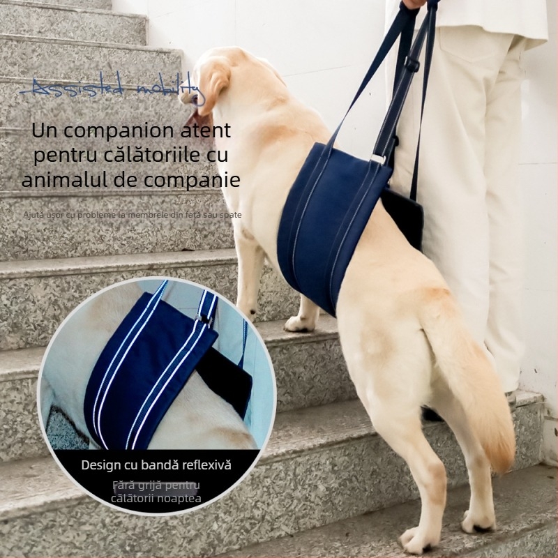 Ham de recuperare pentru câini, reglabil, cu bandă reflexivă (Material: Oxford stofă / Velur Teddy; Reglabil; Reflectiv; Brand: To the stars)