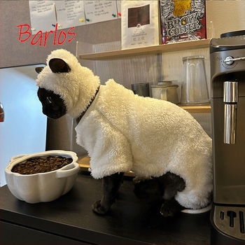 Îmbrăcăminte pentru animale de companie patru-picioare pentru pisici Sphynx/Devon – stil desen animat, blană de iepure, unisex, PAIIJRY