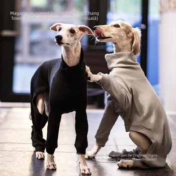 Îmbrăcăminte pentru câini, toamnă-iarna, caldă, guler înalt, bază pentru patru labe, căptușeală din bumbac