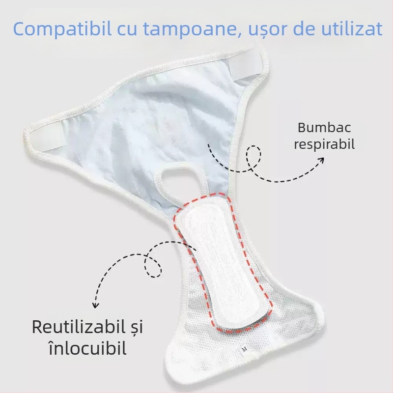 Pantaloni pentru câini în timpul ciclului – protecție igienică pentru femele