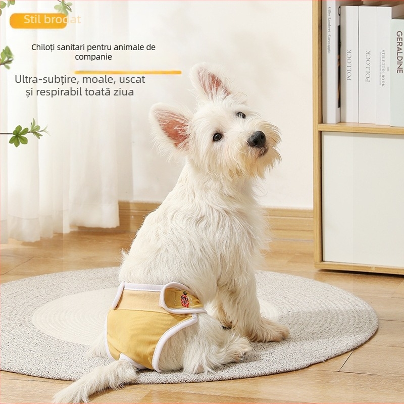 Lenjerie menstruală pentru femela canină, cu inserție absorbantă