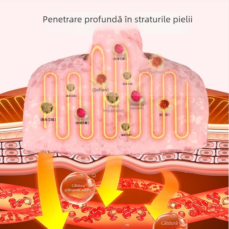 Aiyuantang Pachet de încălzire cu sare pentru umeri și gât, încălzire electrică, control temperatură 30–50°C, 60W, material mătase