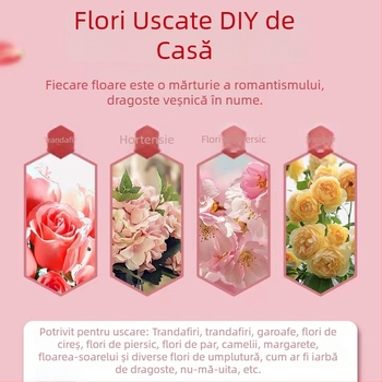 Desicant pentru flori uscate, în pachet, 1 kg, silică gel cu schimbare de culoare portocaliu-alb, mușețel și trandafiri pentru mostre DIY