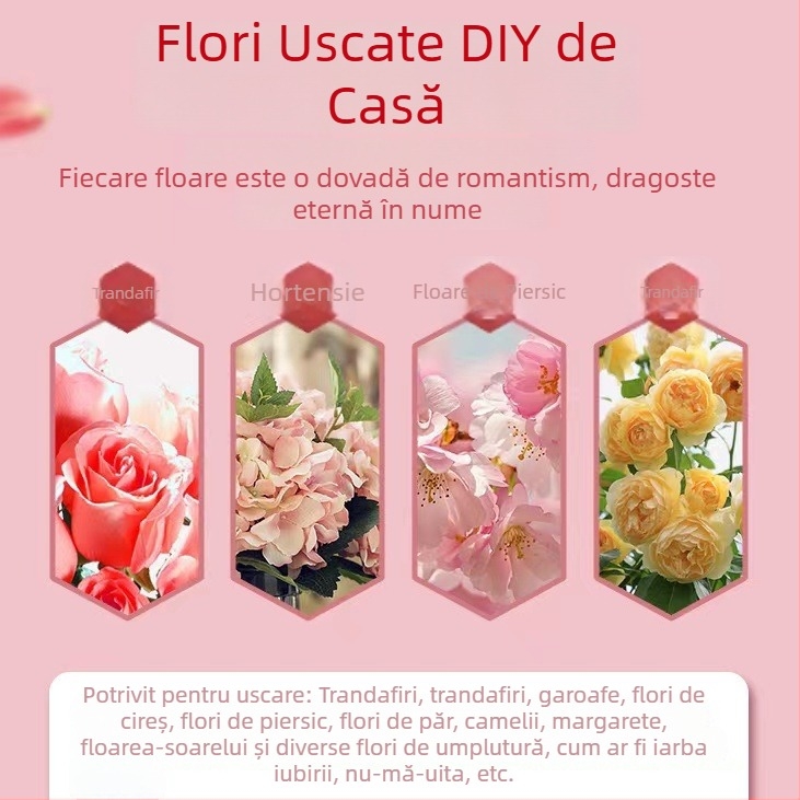 Desicant din gel de silice, 1 kg, cu schimbare de culoare (portocaliu‑alb) pentru uscarea florilor; mușețel și trandafiri uscați, pentru expoziții DIY