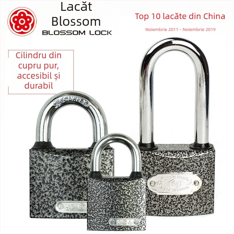 Plum Blossom BC12 Lacăt din fier gros pentru dulapuri, sertare și genți – design modern minimalist