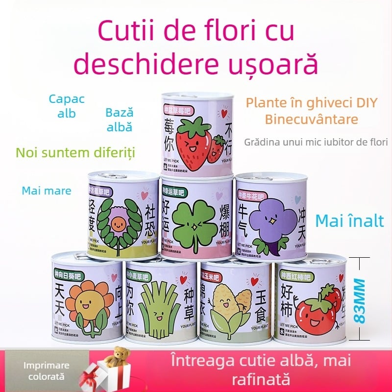 Set de plante miniatură pentru birou în cutie conservă, cu semințe de floarea-soarelui, căpșună, roșie și trifoi — ușor de cultivat, întreținere redusă; cadou ideal pentru elevi.