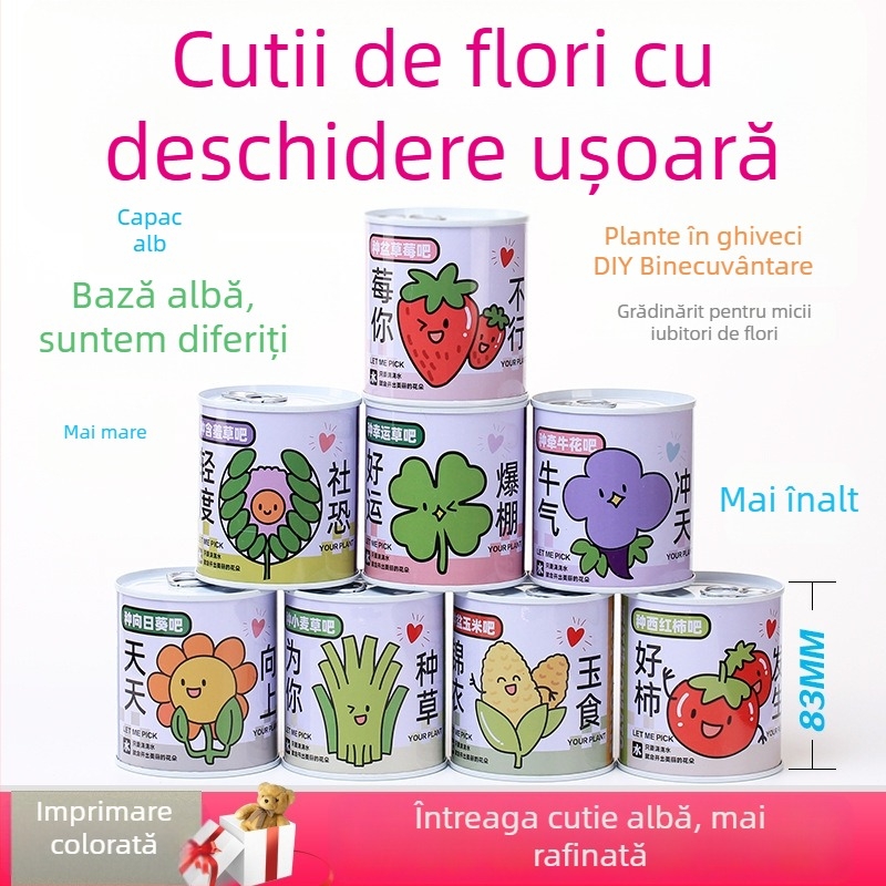 Set de plante miniatură pentru birou în cutie conservă, cu semințe de floarea-soarelui, căpșună, roșie și trifoi — ușor de cultivat, întreținere redusă; cadou ideal pentru elevi.
