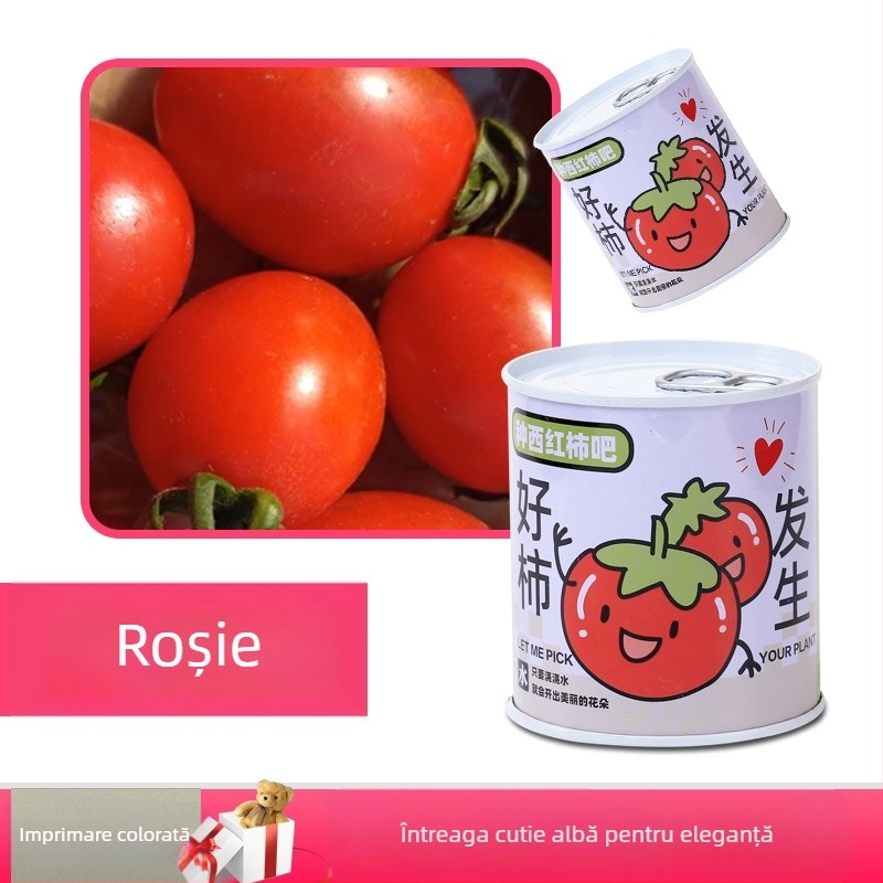 Set de plante miniatură pentru birou în cutie conservă, cu semințe de floarea-soarelui, căpșună, roșie și trifoi — ușor de cultivat, întreținere redusă; cadou ideal pentru elevi.