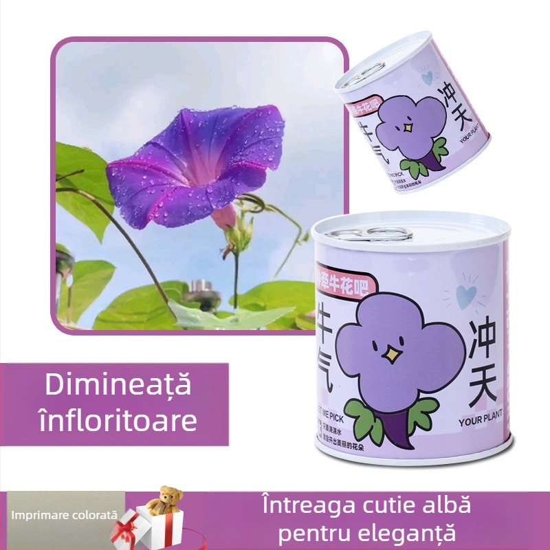 Set de plante miniatură pentru birou în cutie conservă, cu semințe de floarea-soarelui, căpșună, roșie și trifoi — ușor de cultivat, întreținere redusă; cadou ideal pentru elevi.